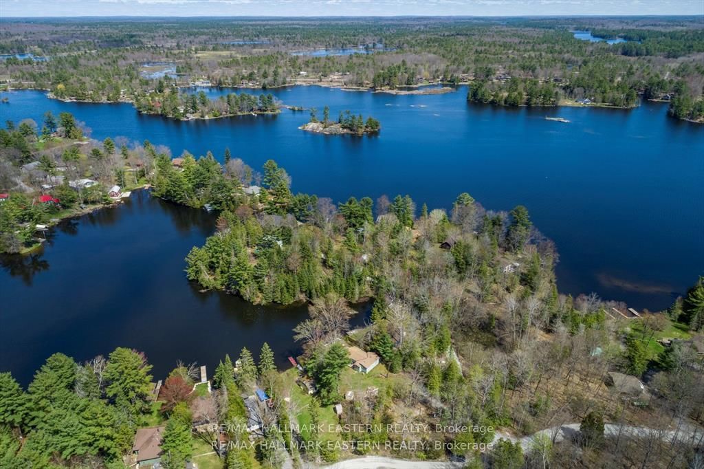 1810 Hull Road • Douro-Dummer, ON photo 45