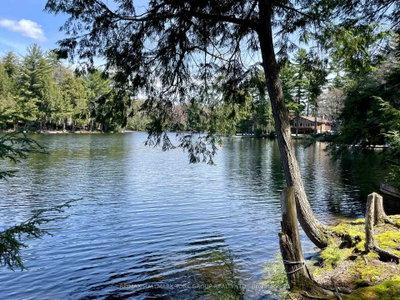 41 Maureen Drive • Seguin, ON photo 5