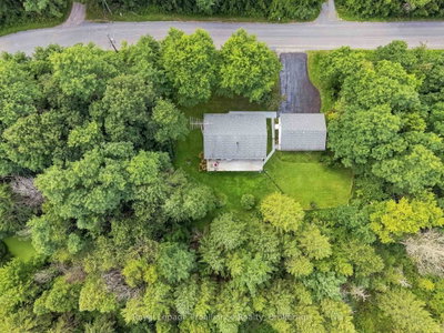 1528 Pinewood School Road • Brighton, ON photo 2