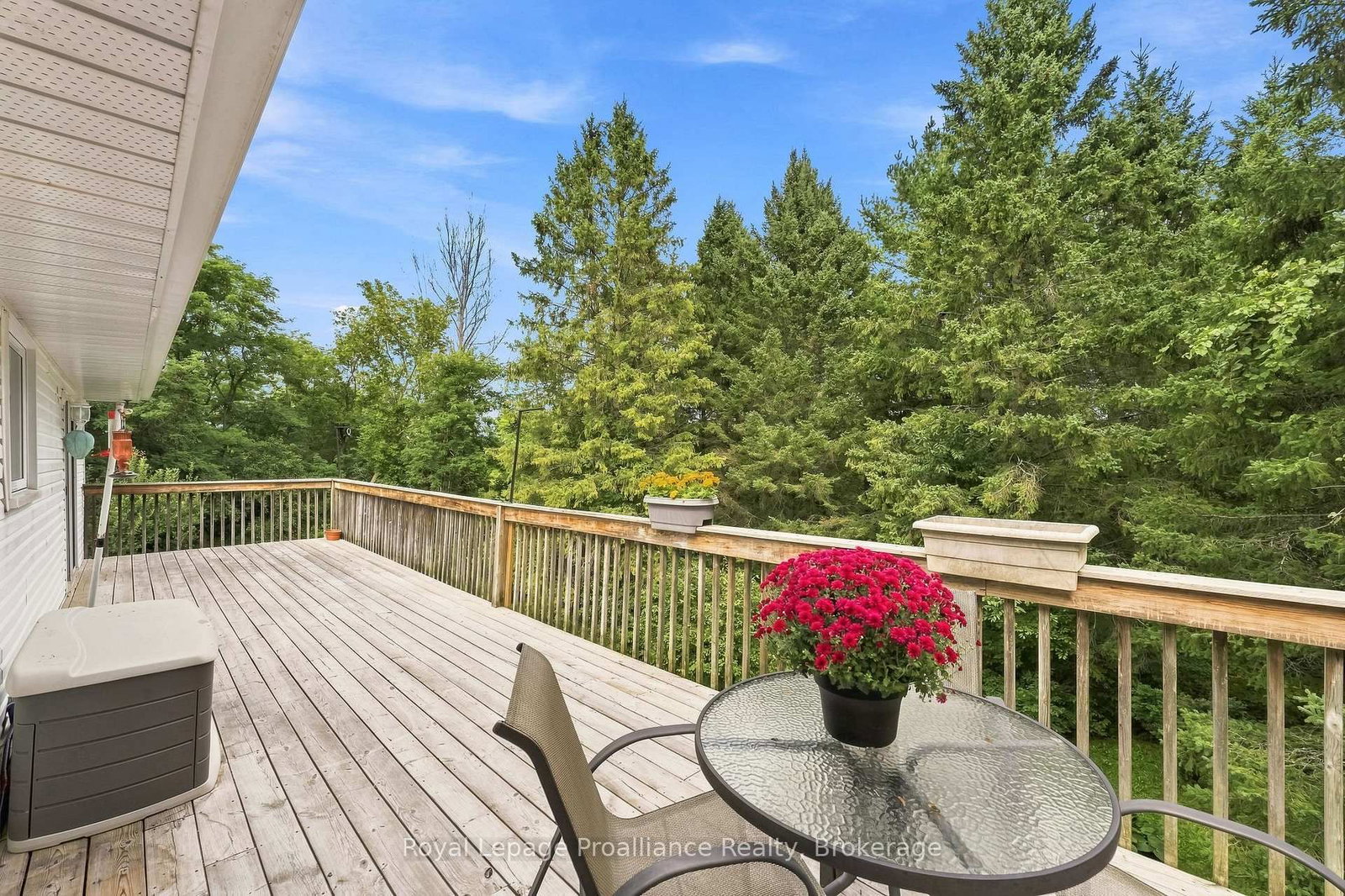 1528 Pinewood School Road • Brighton, ON photo 36