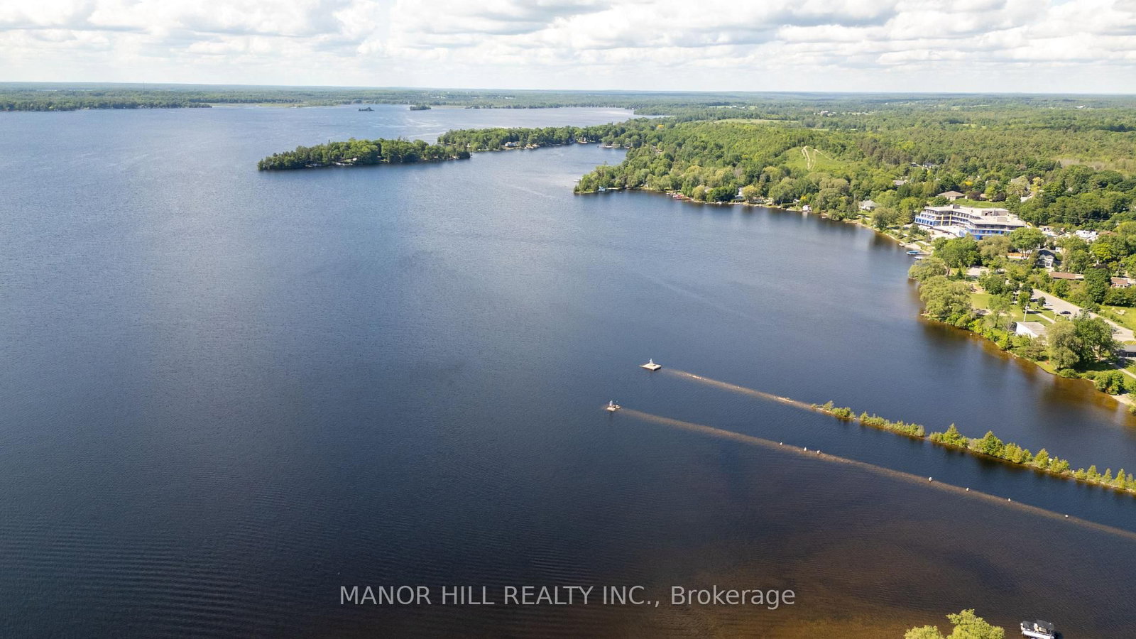 56 West Street N • Kawartha Lakes, ON photo 33