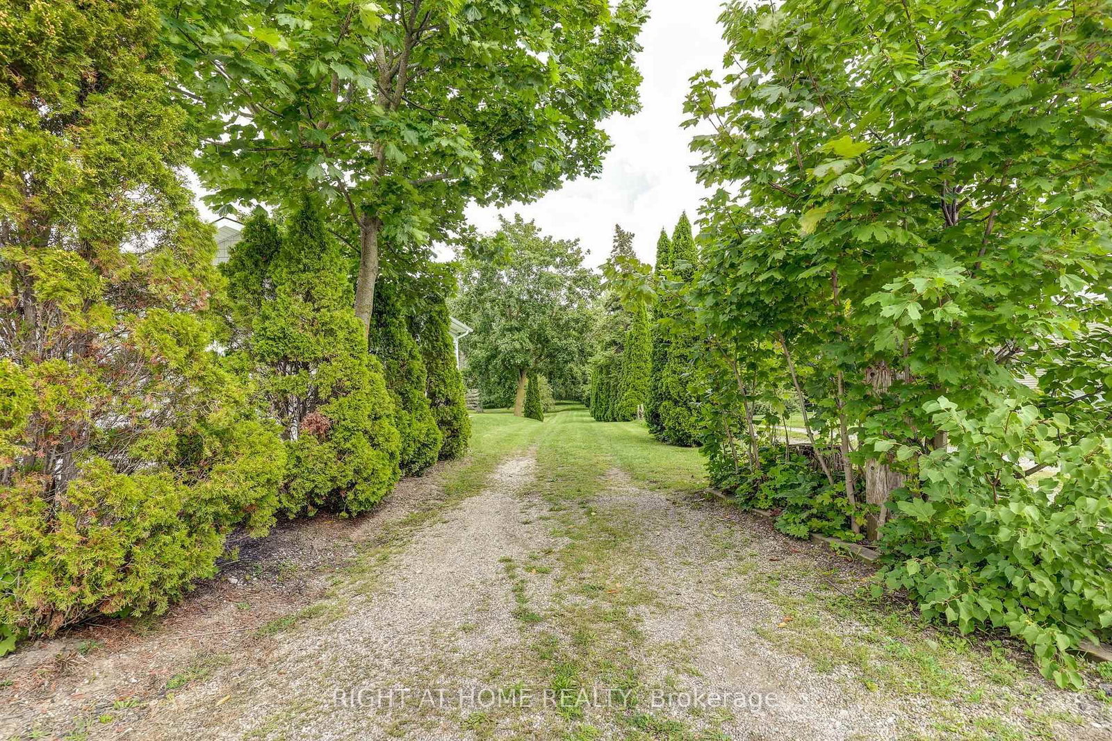 41 Goshen Street S • Bluewater, ON photo 17