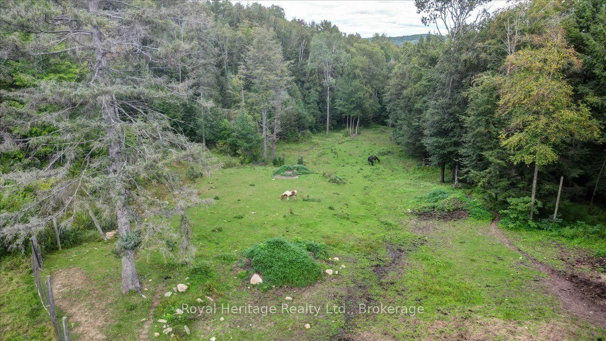 174 Bierworth Road • Bancroft, ON photo 43