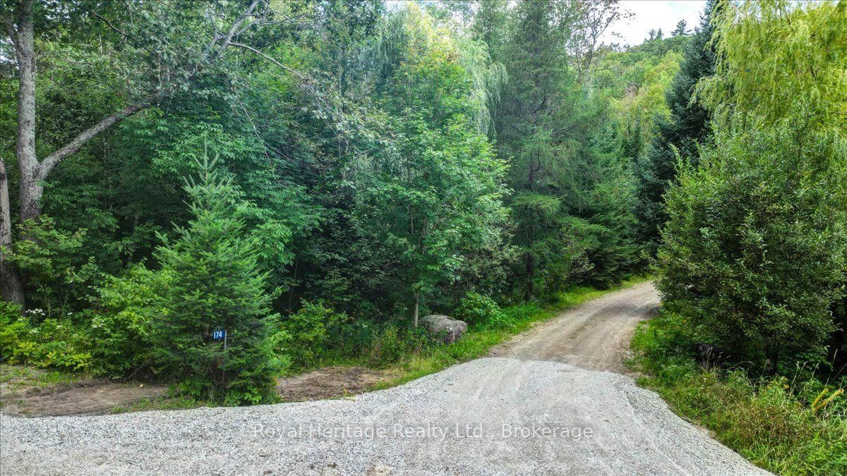 174 Bierworth Road • Bancroft, ON photo 44