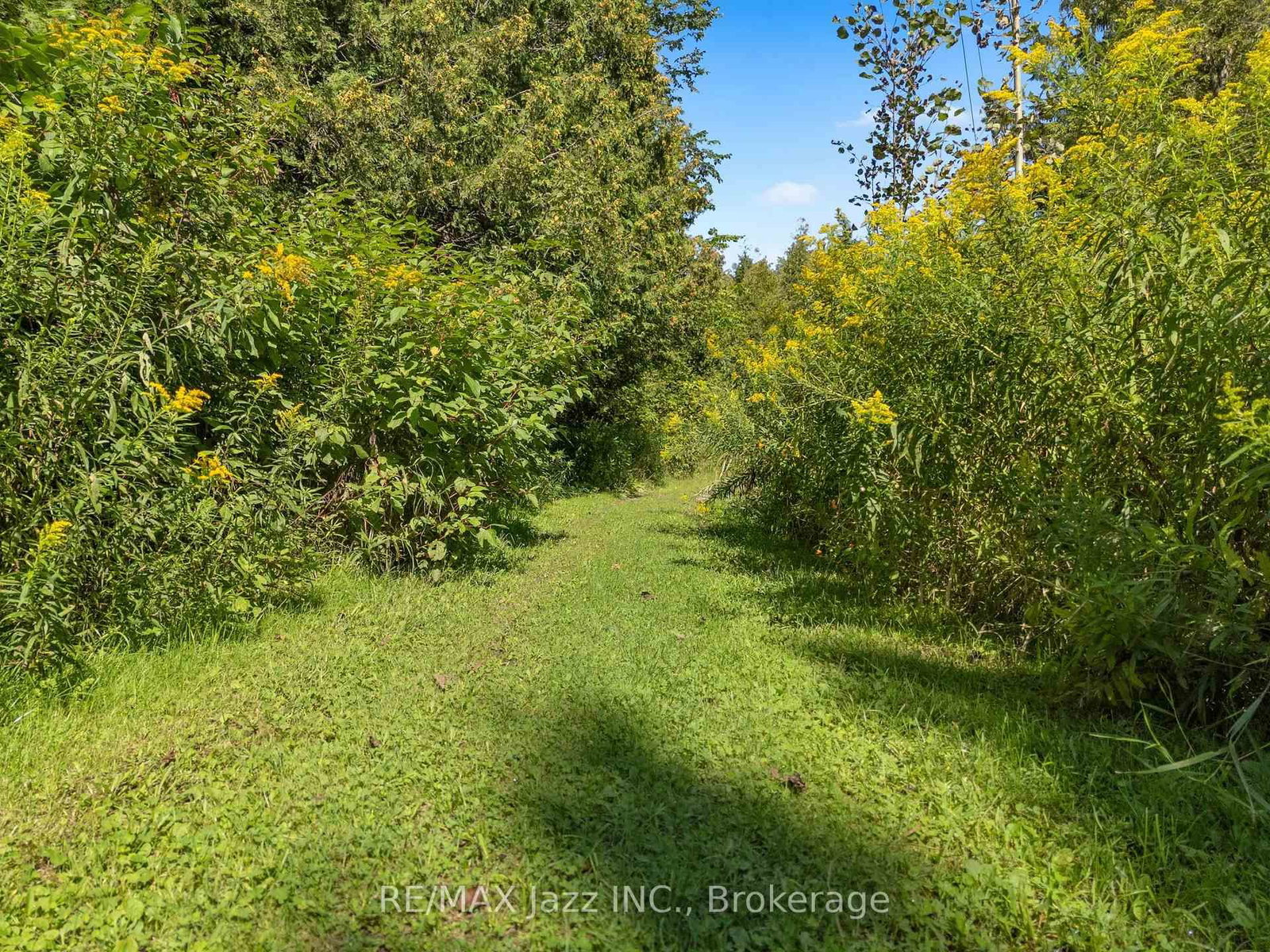 8183 Tinkerville Road • Port Hope, ON photo 44