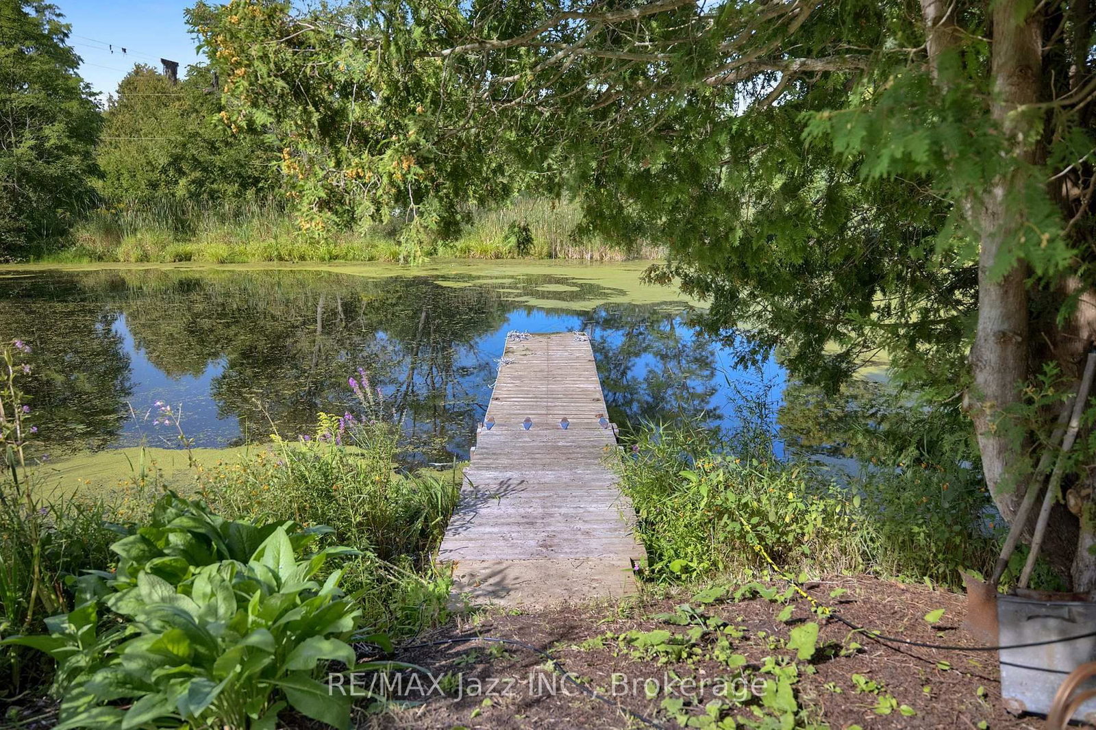 8183 Tinkerville Road • Port Hope, ON photo 46