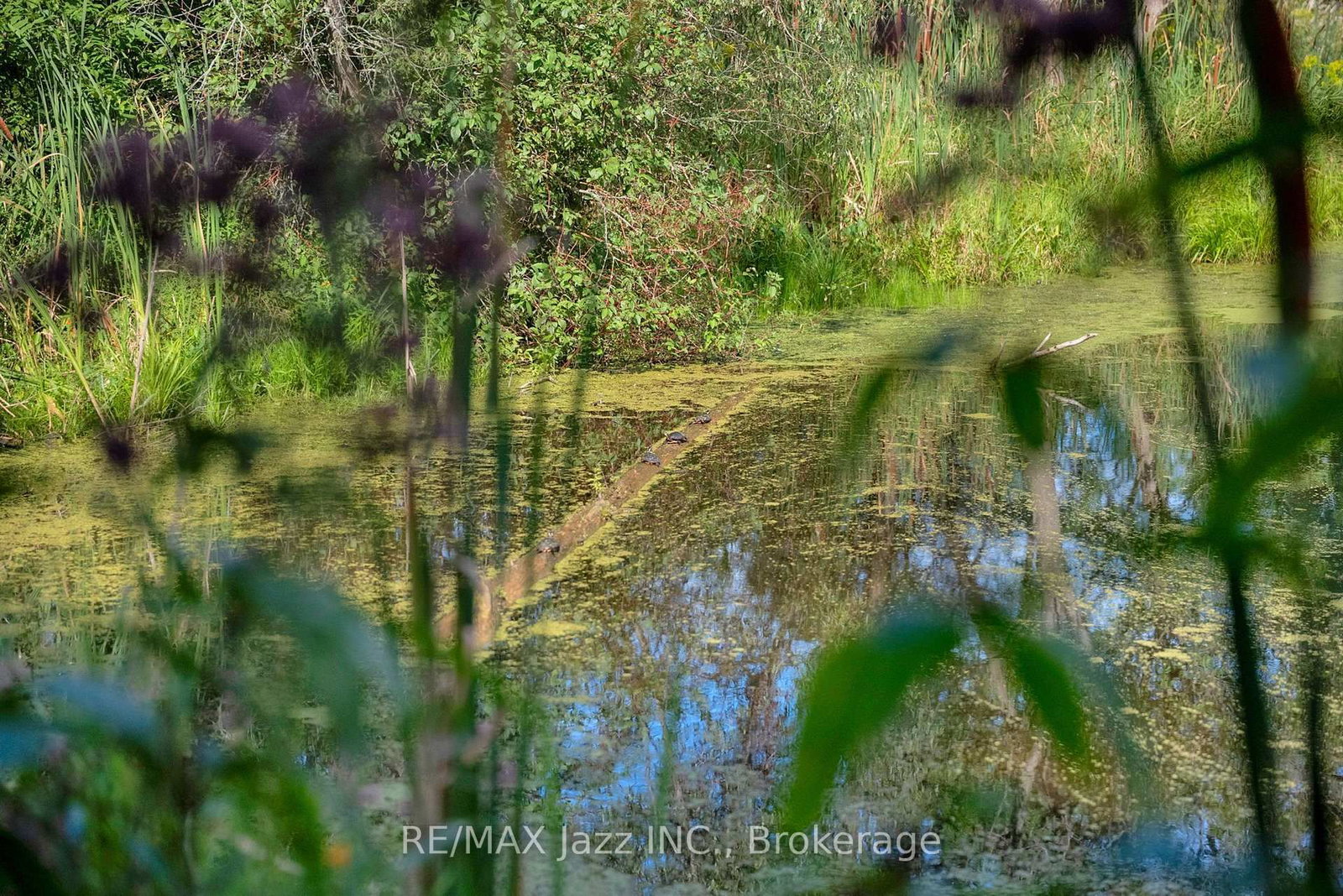 8183 Tinkerville Road • Port Hope, ON photo 47