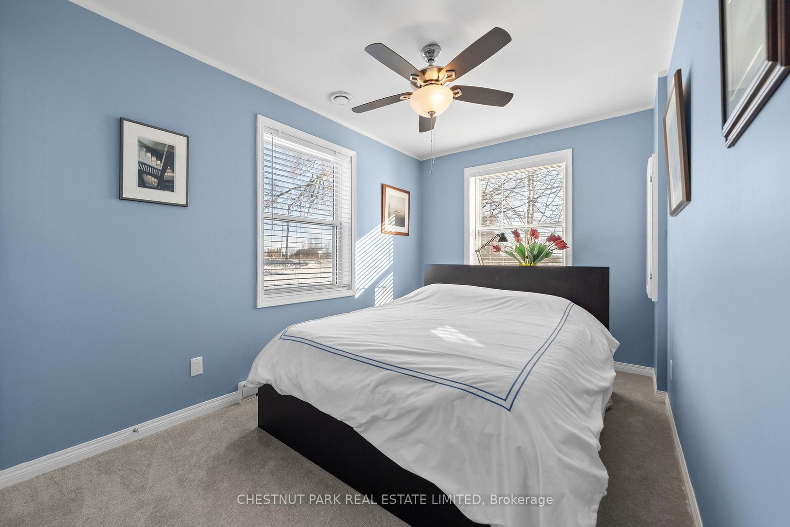 14782 Loyalist Parkway • Prince Edward County, ON photo 40