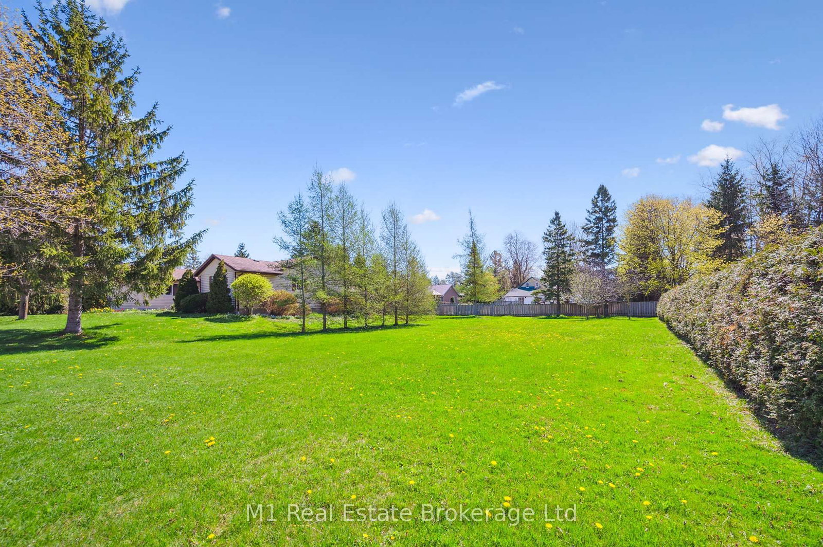 33 Geddes Street W • Minto, ON photo 2
