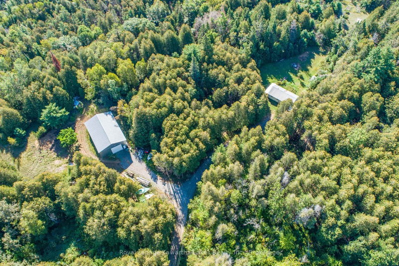 244 Dutch Line Road W