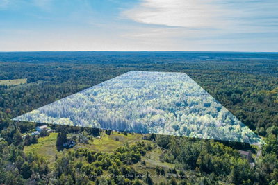 244 Dutch Line Road W • Trent Lakes, ON photo 2