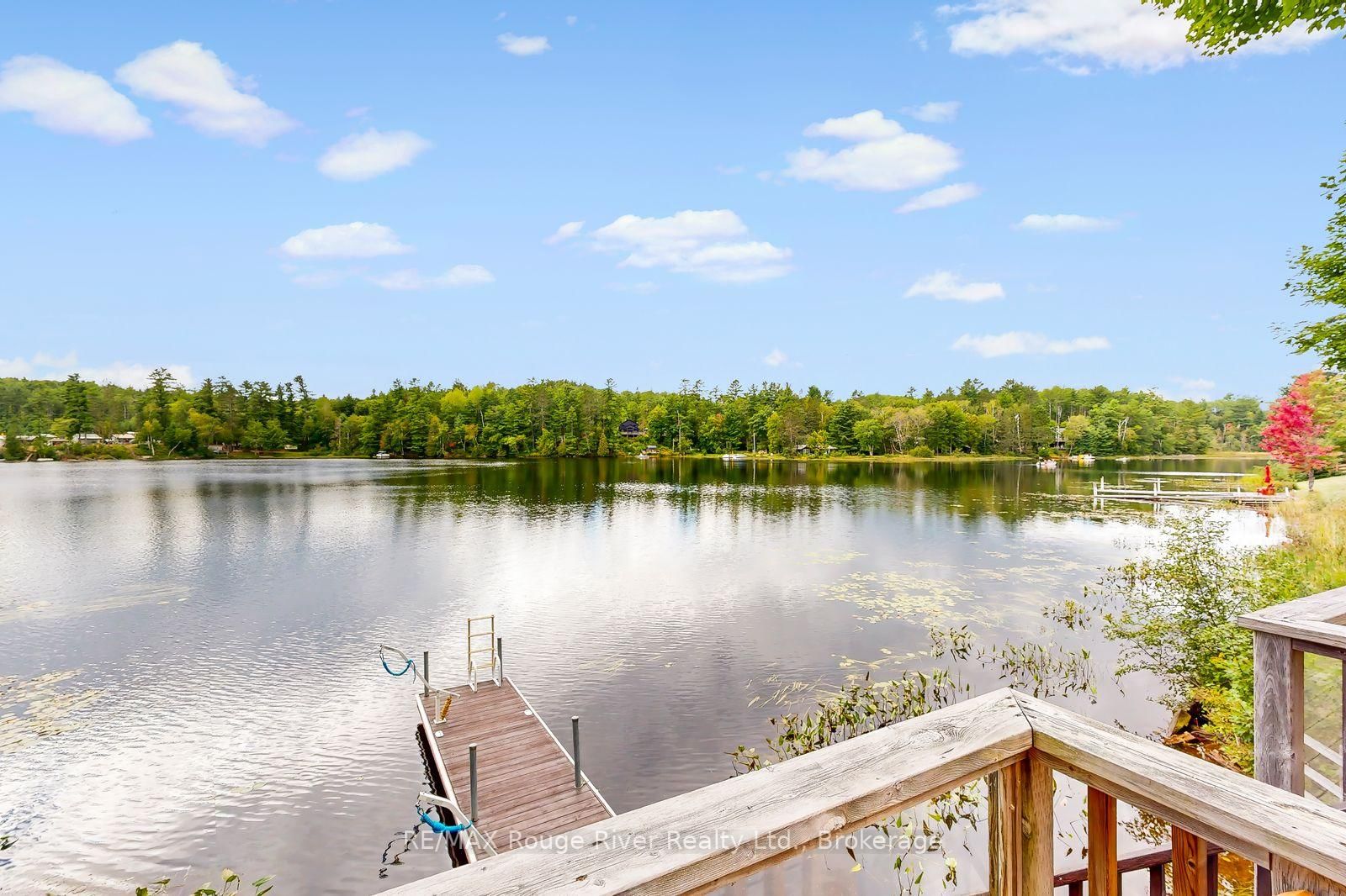 132 Addington Road 5 Road • Cloyne, ON photo 26