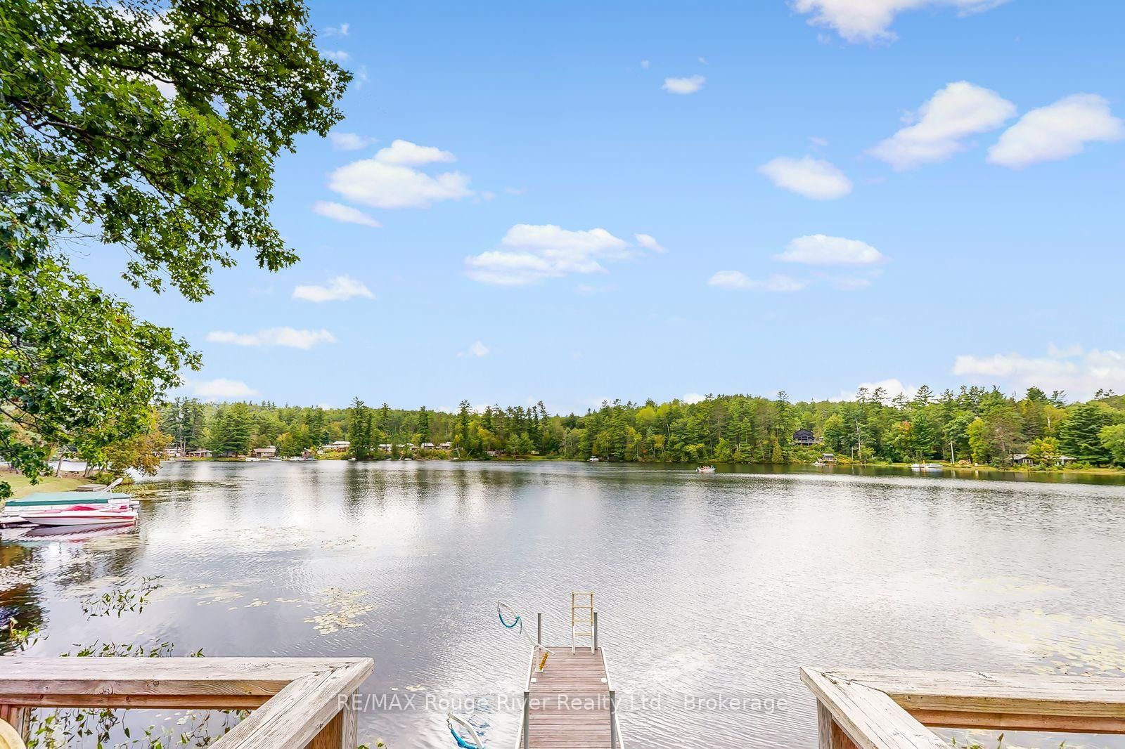 132 Addington Road 5 Road • Cloyne, ON photo 27