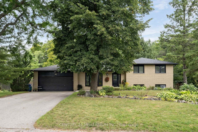 17 Erin Heights Drive