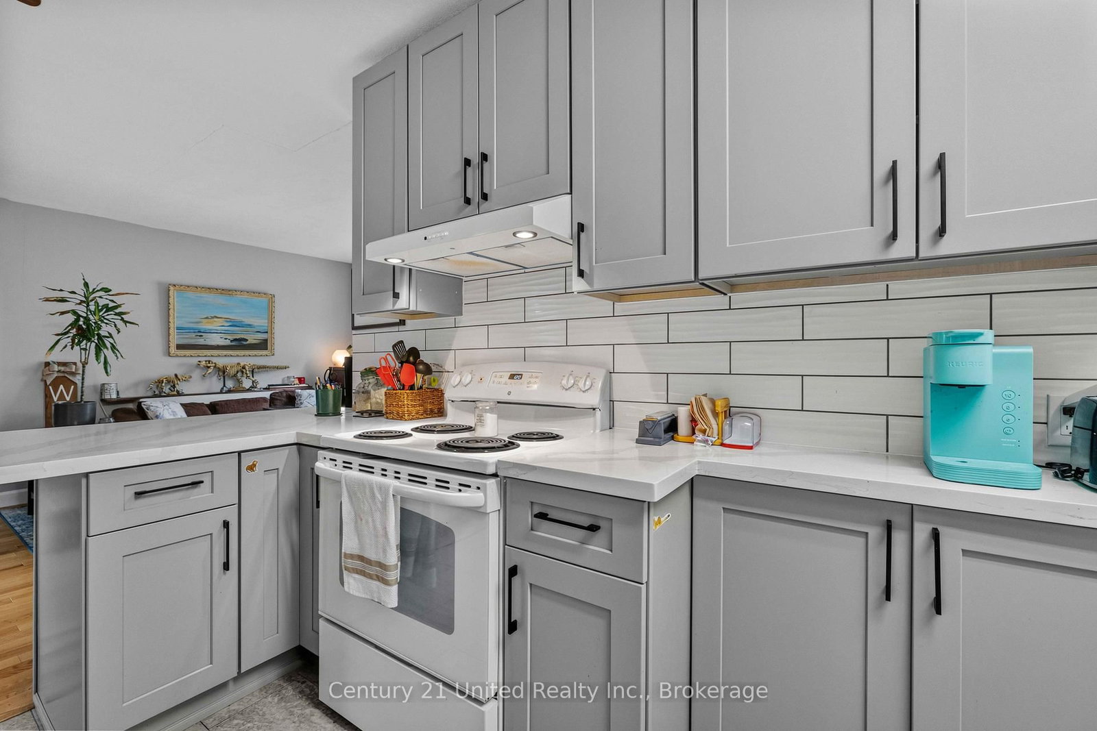 577 Homewood Avenue • Peterborough, ON photo 30