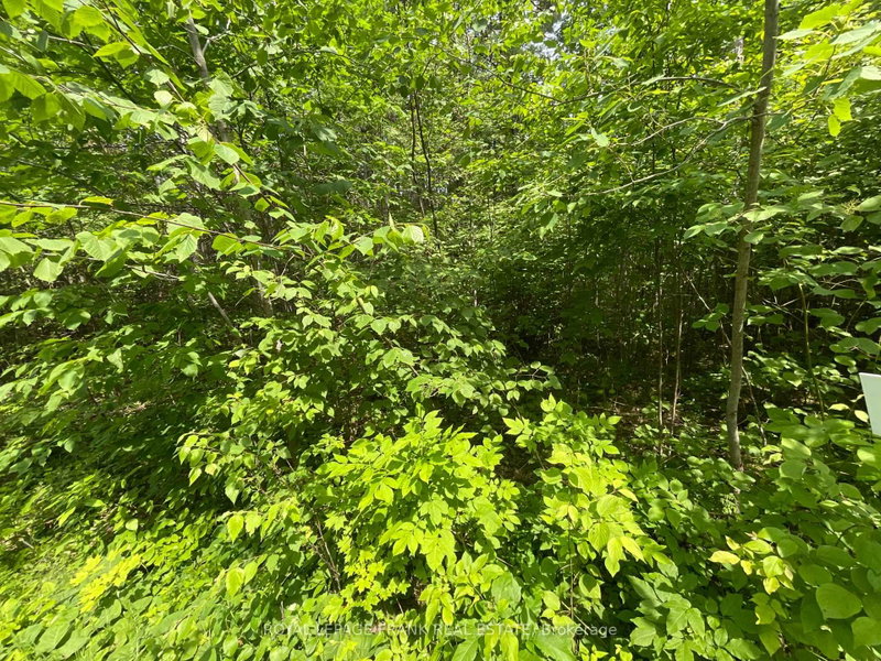 0 Sugarbush Crescent