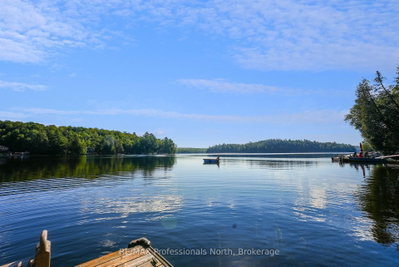 1010 Koch Trail • Highlands East, ON photo 4