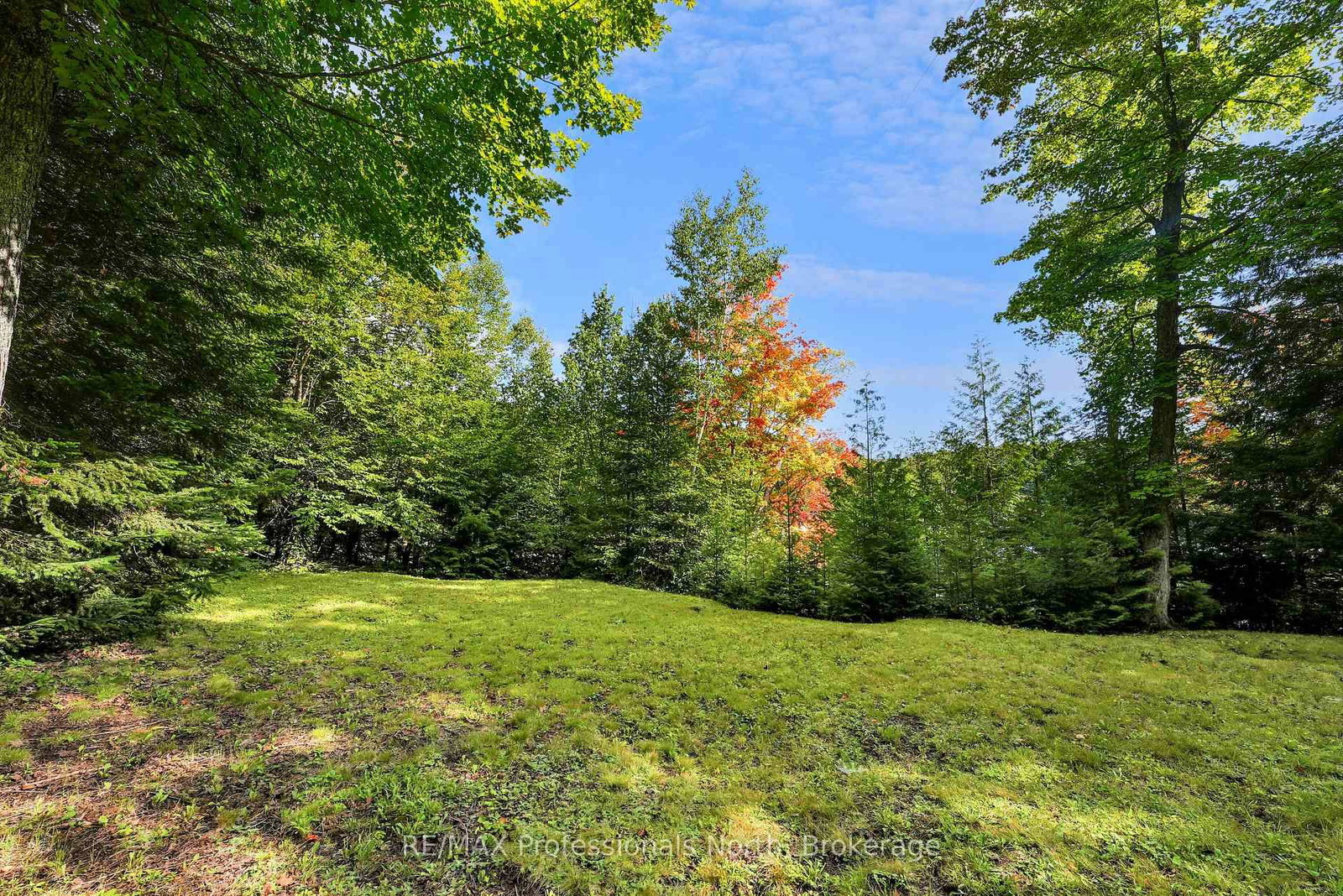 1010 Koch Trail • Highlands East, ON photo 45