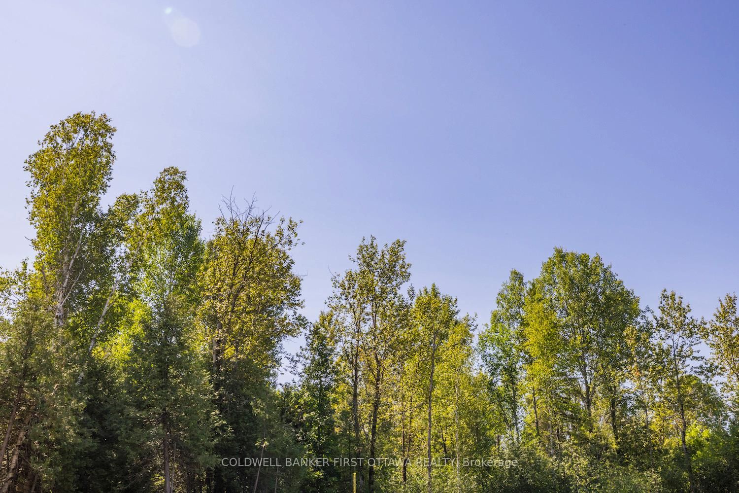 0 Forbes Road • North Grenville, ON photo 10