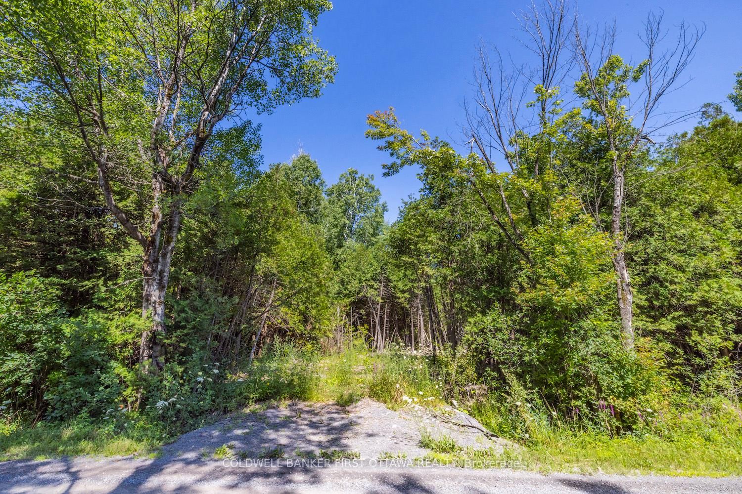 0 Forbes Road • North Grenville, ON photo 15