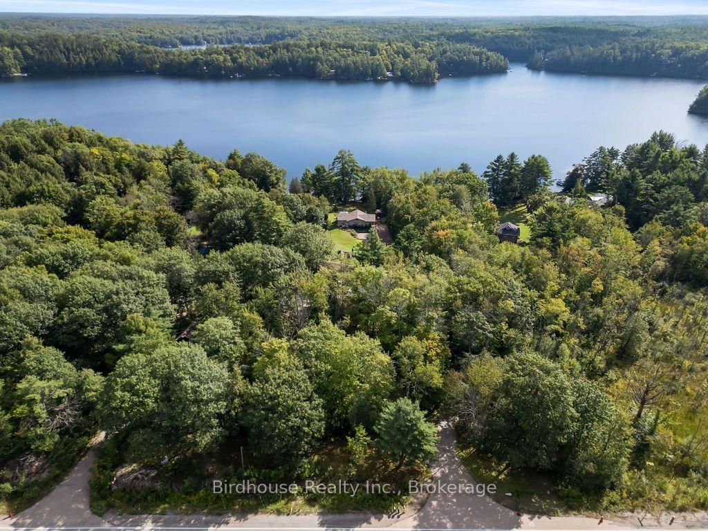 1022 Mulberry Lane • Minden Hills, ON photo 4