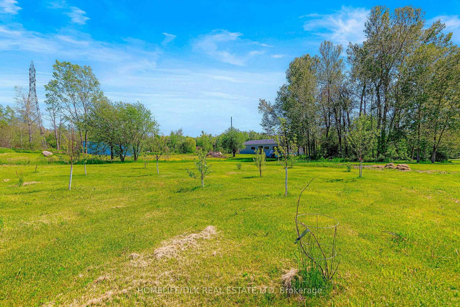 2805 Rocky Road • Augusta, ON photo 8
