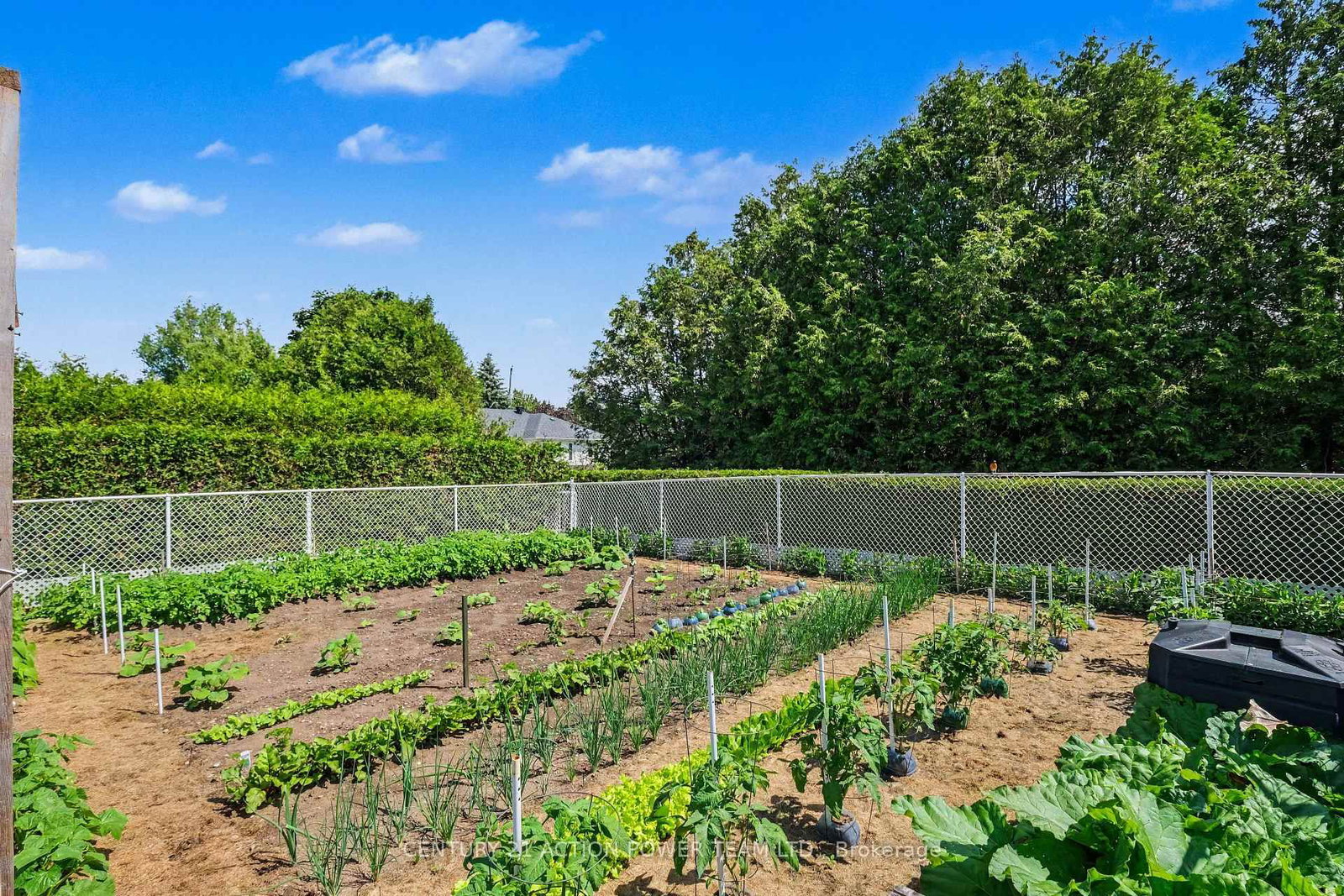 19 Crysler Station Road • North Stormont, ON photo 28