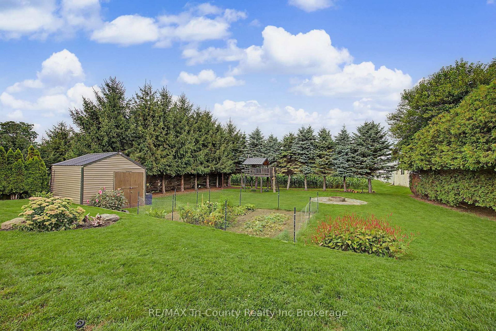 34 Albert Street • Norfolk, ON photo 9
