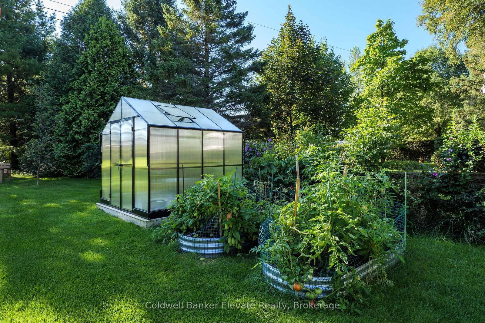 1914 Bruce 33 Road • Saugeen Shores, ON photo 35