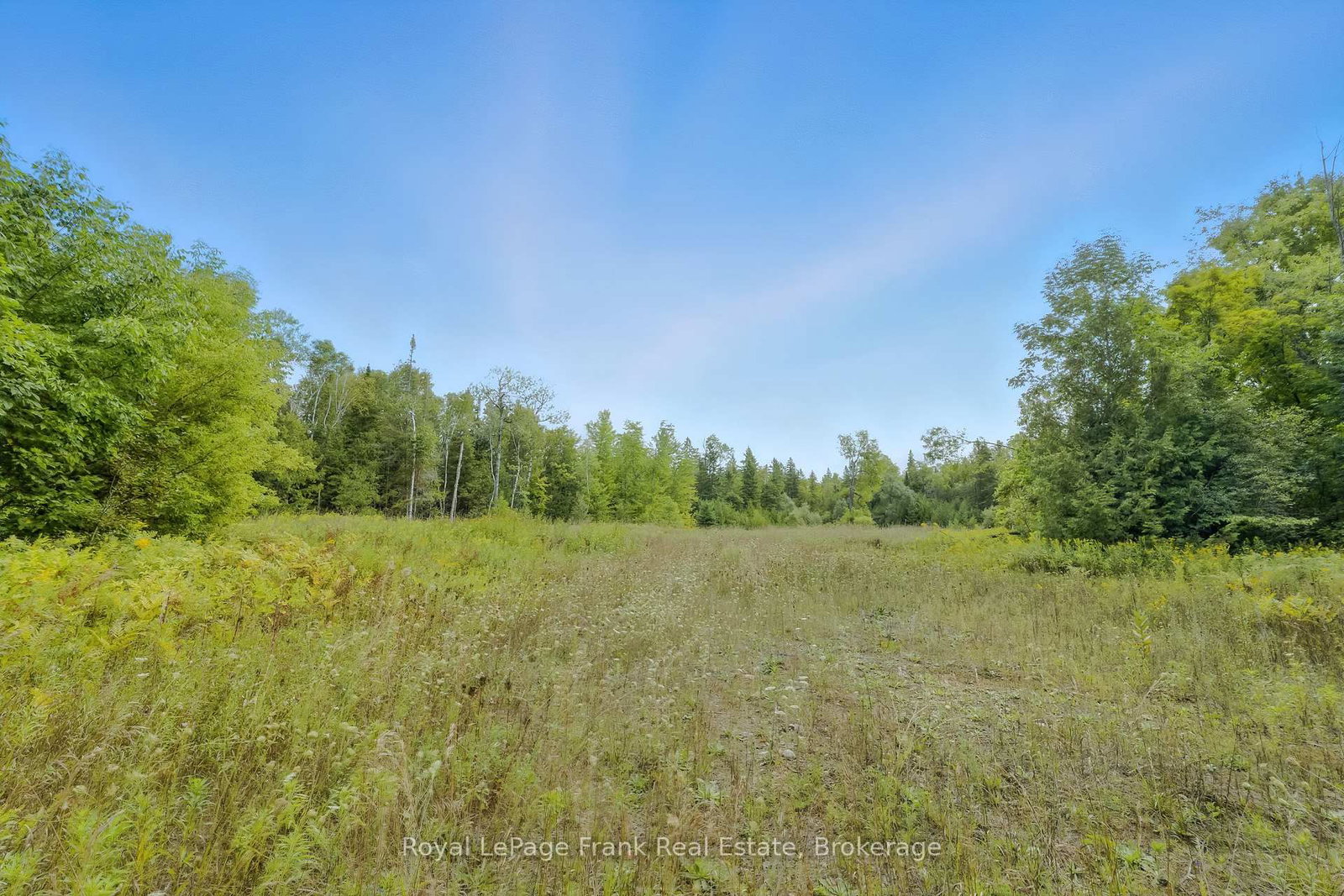 274 Highway 35 • Kawartha Lakes, ON photo 29