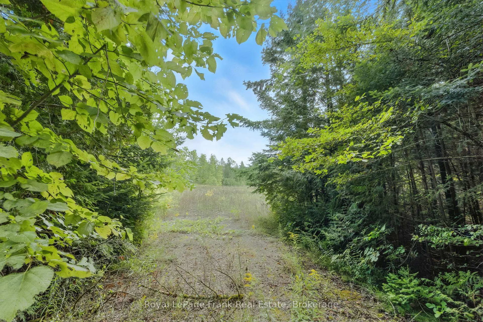 274 Highway 35 • Kawartha Lakes, ON photo 30