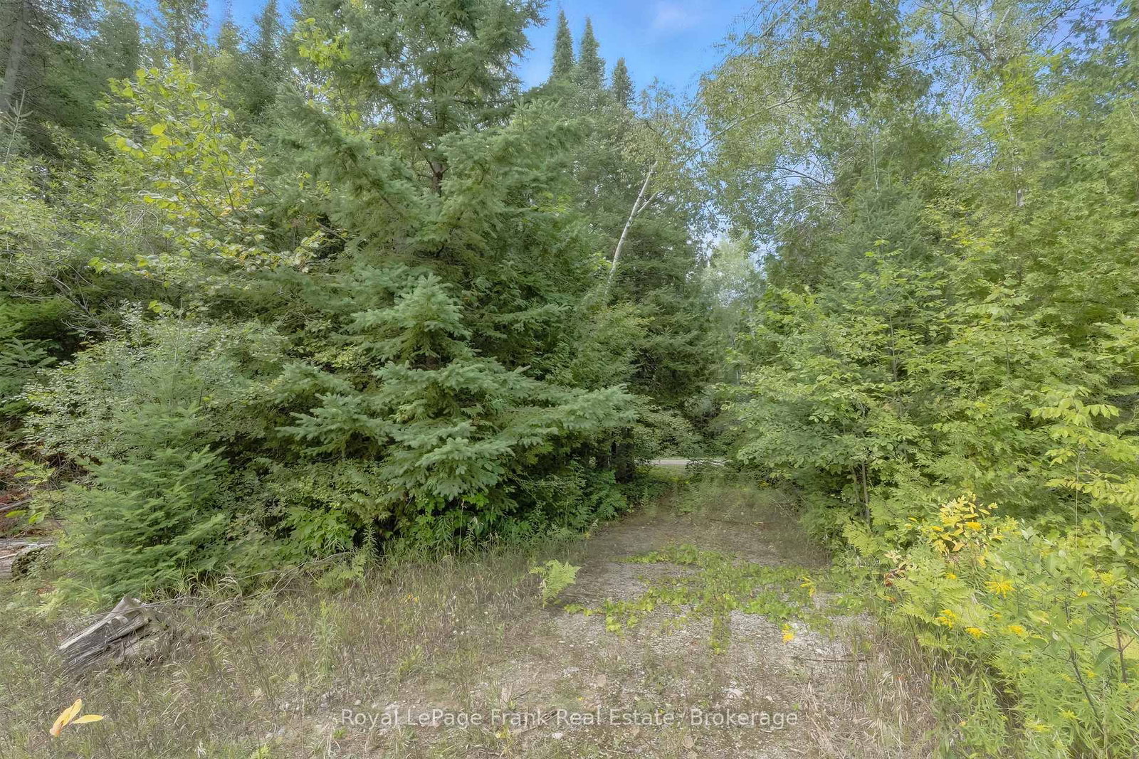 274 Highway 35 • Kawartha Lakes, ON photo 31