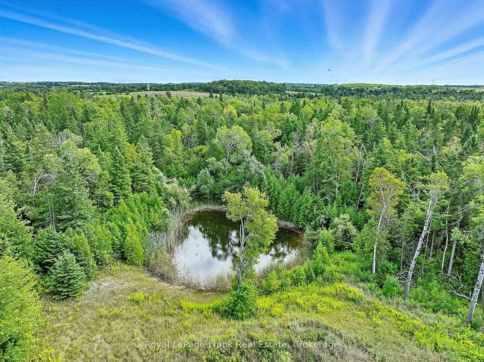 274 Highway 35 • Kawartha Lakes, ON photo 35