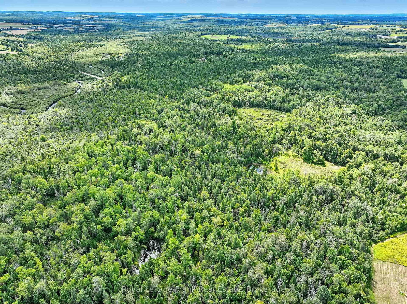 274 Highway 35 • Kawartha Lakes, ON photo 38