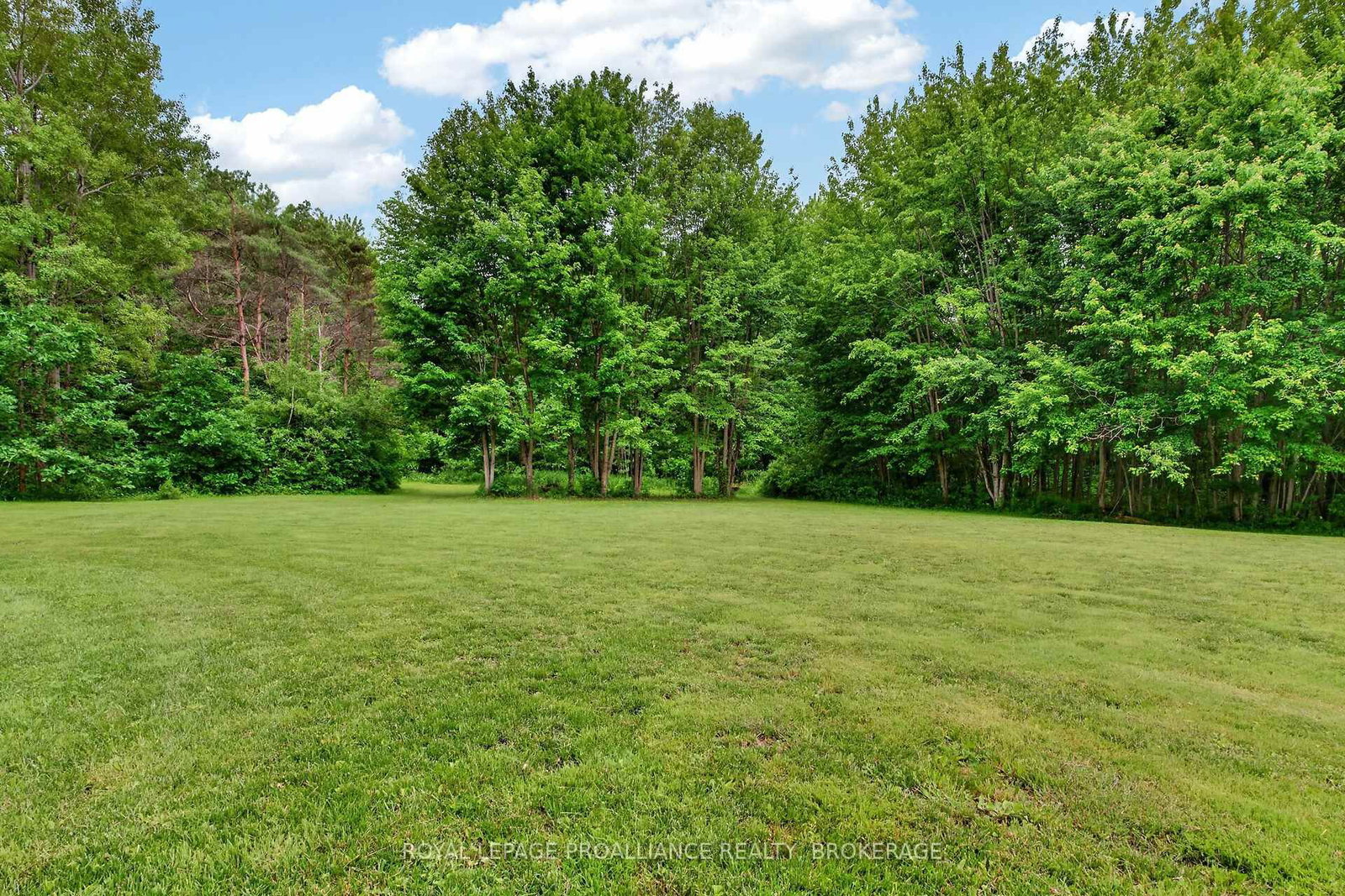 1246 Townline Road • Napanee, ON photo 34