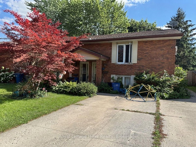 321 Maple Avenue