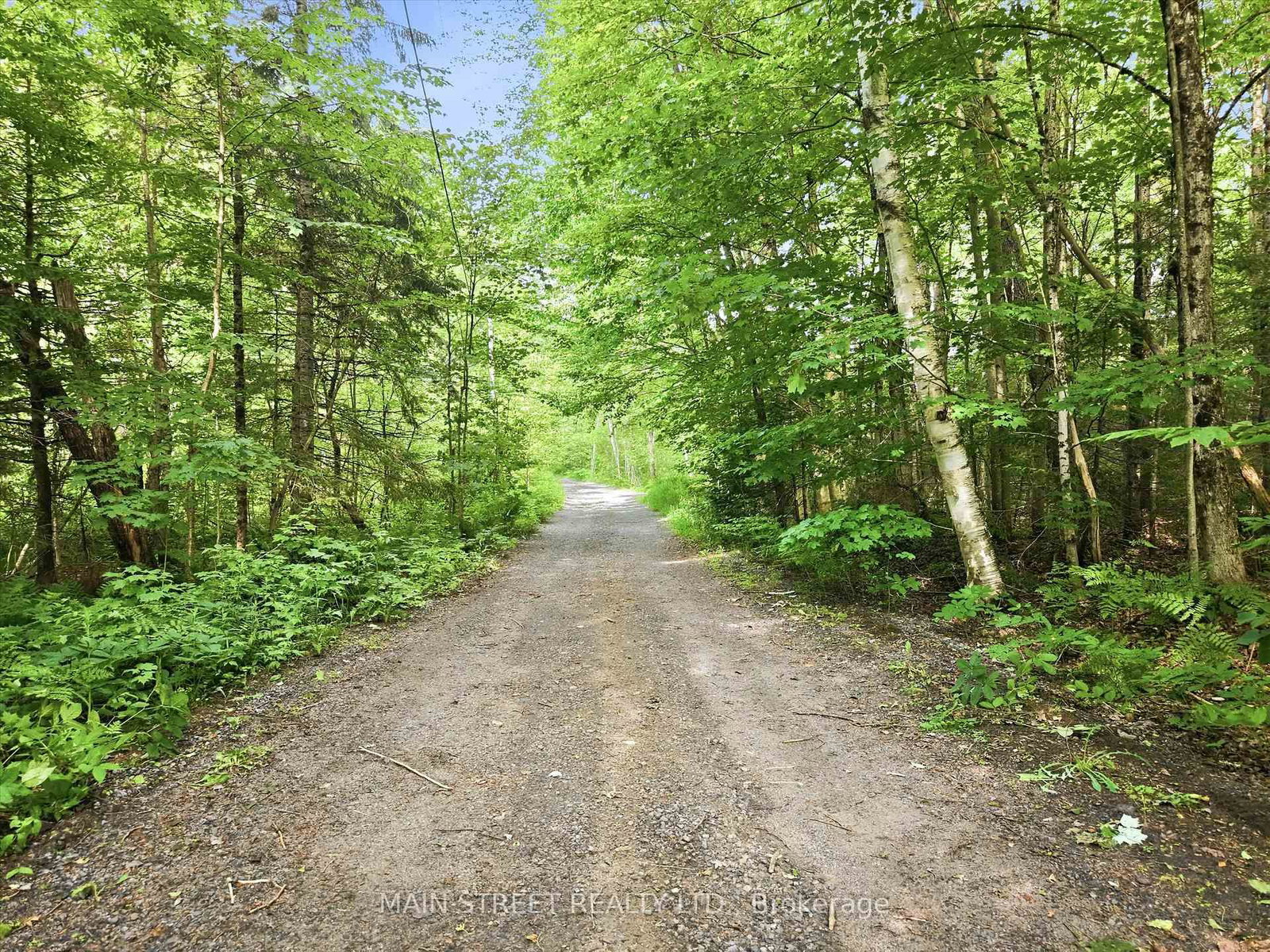 1063 SHERWOOD FOREST Road • Bracebridge, ON photo 25