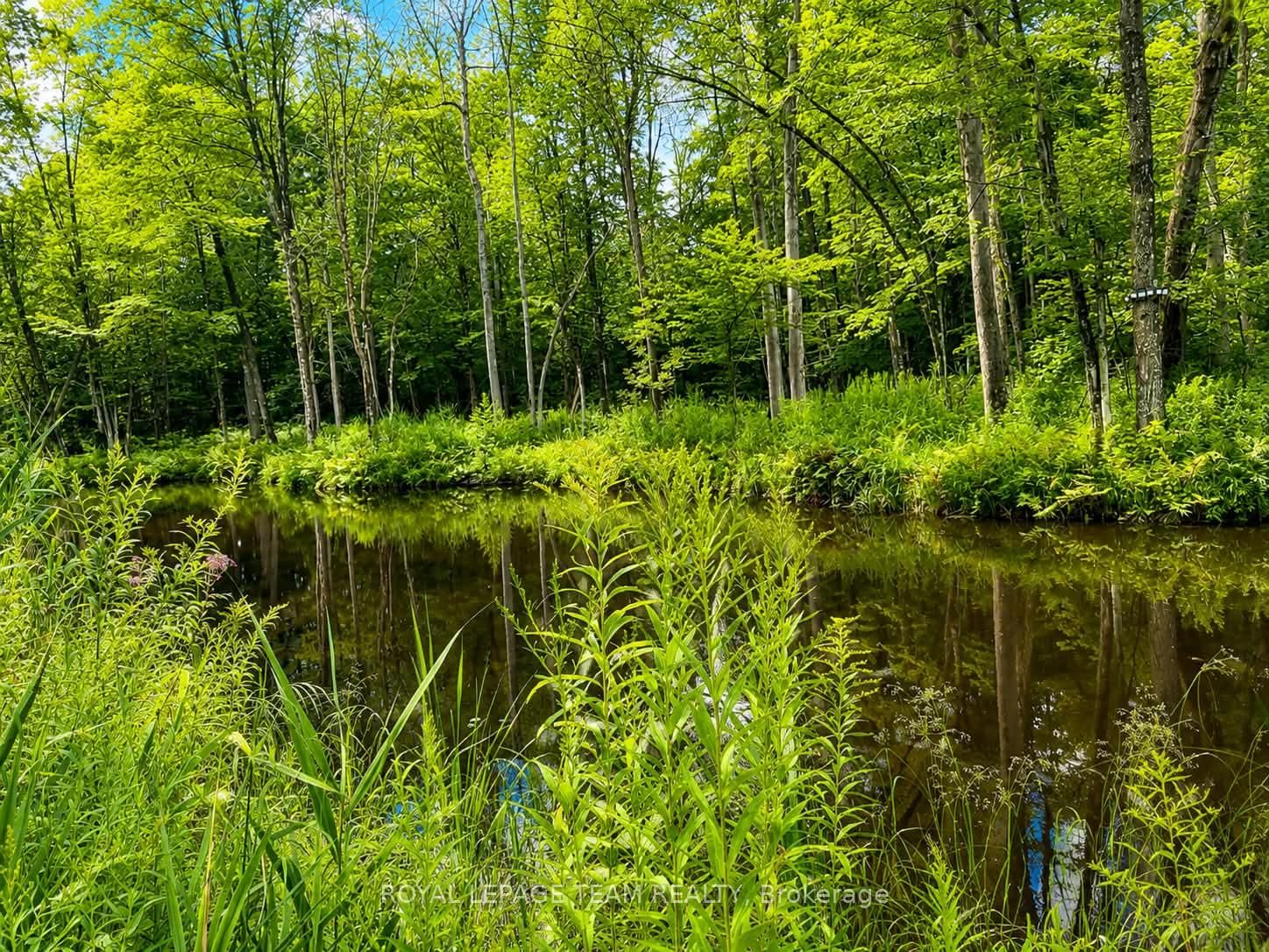 1830 Rollin Road • Clarence-Rockland, ON photo 47