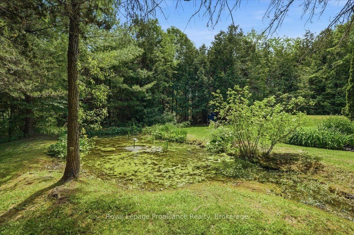 3526 Harmony Road • Corbyville, ON photo 36