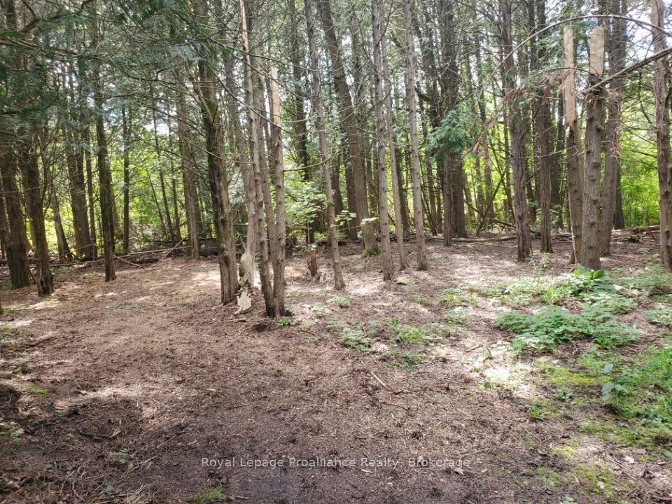 3526 Harmony Road • Corbyville, ON photo 49