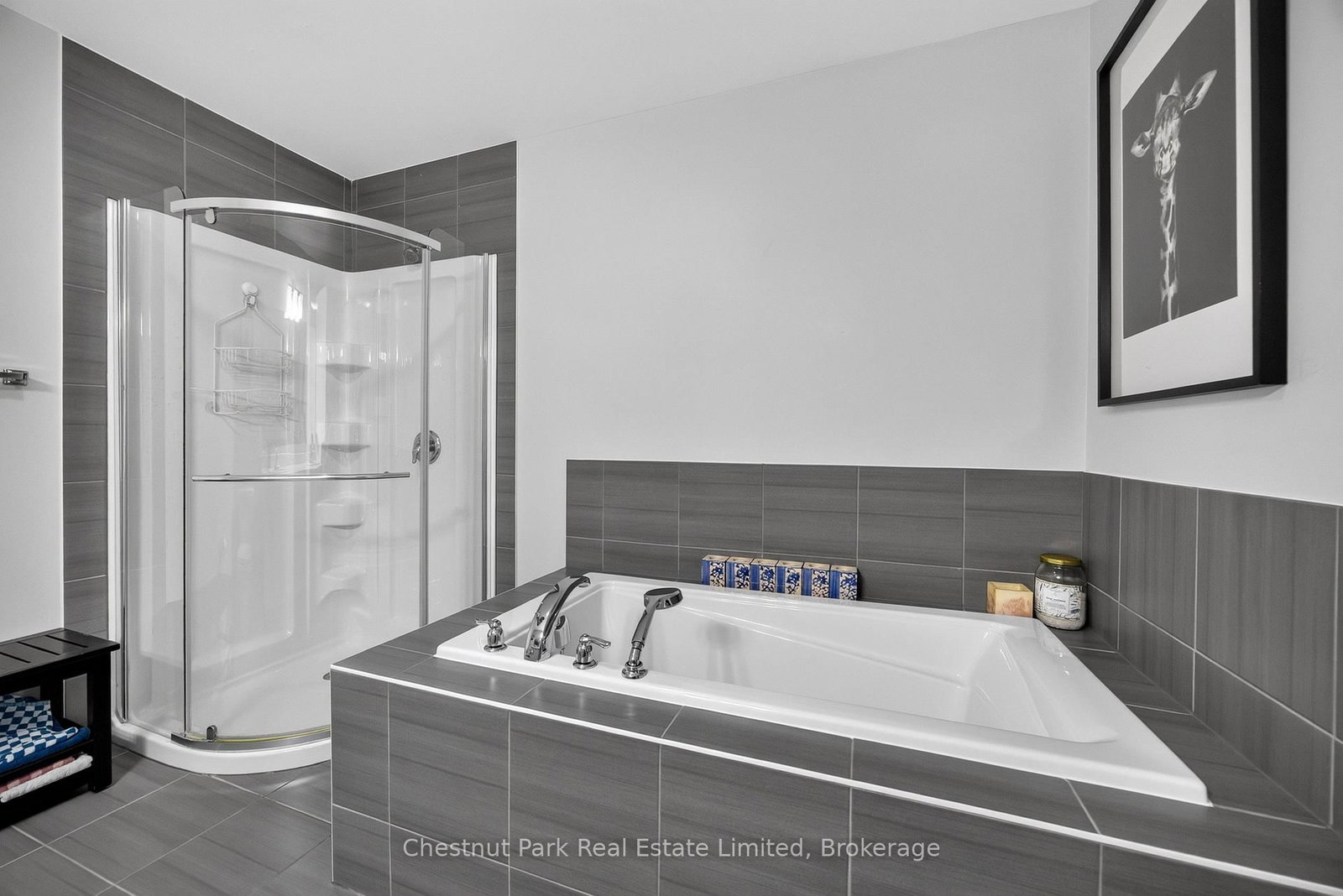 239 King Street • Carleton Place, ON photo 35