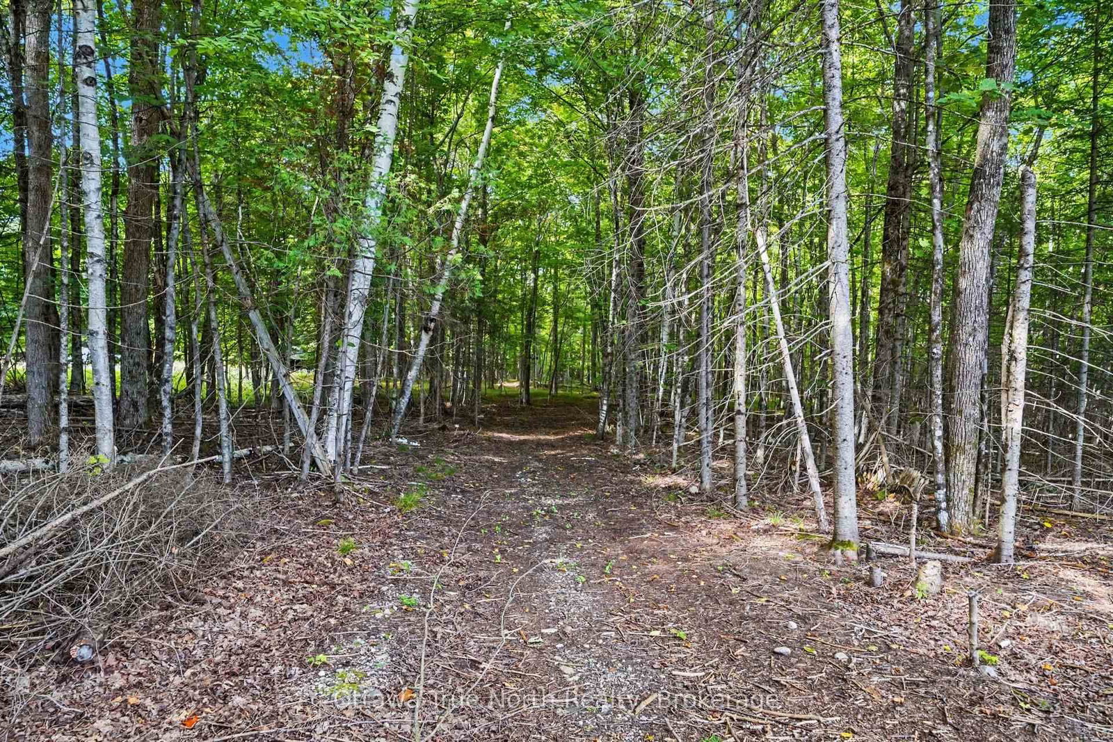 464 Dalhousie 1A Concession • Lanark, ON photo 28