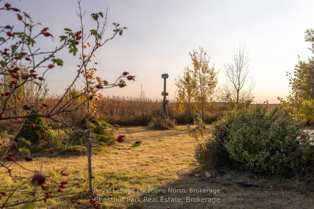 324310 27 Side Road • Meaford, ON photo 30