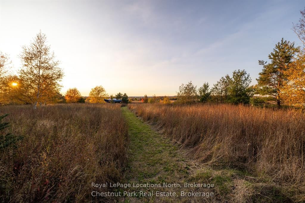 324310 27 Side Road • Meaford, ON photo 37