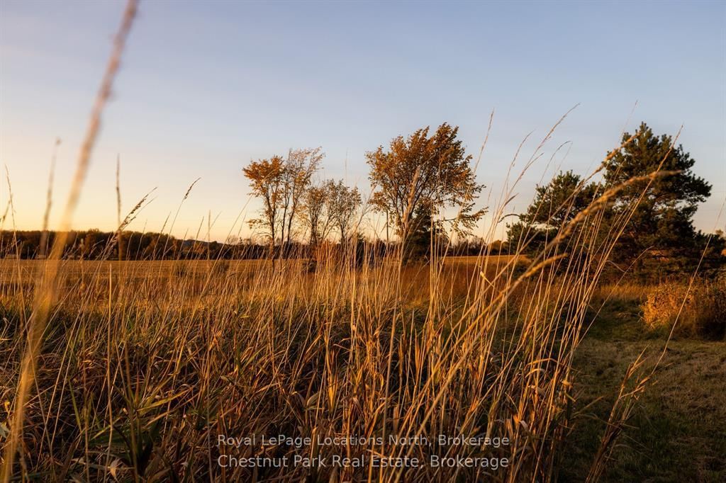 324310 27 Side Road • Meaford, ON photo 38