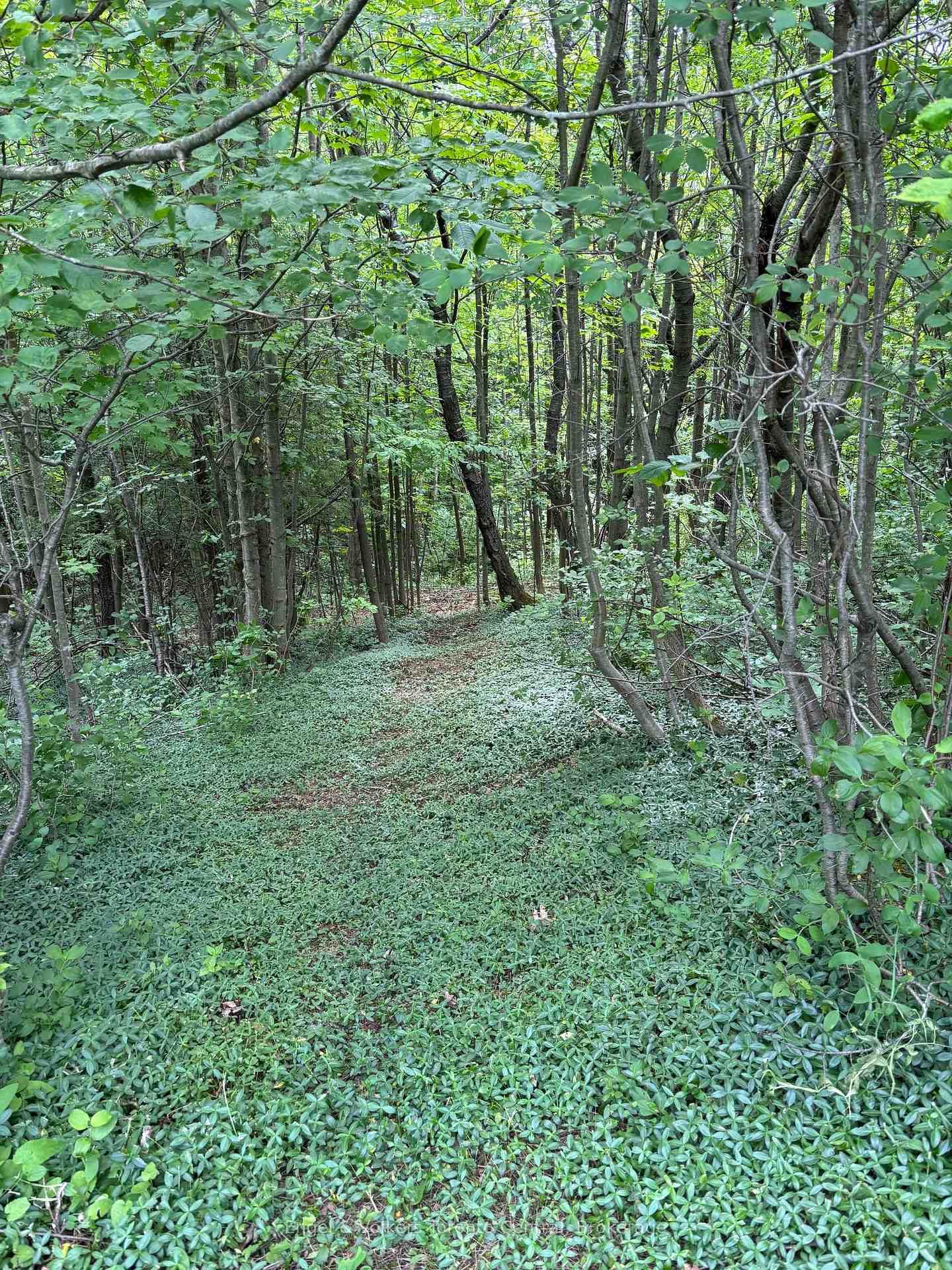 317343 3rd Line • Meaford, ON photo 24