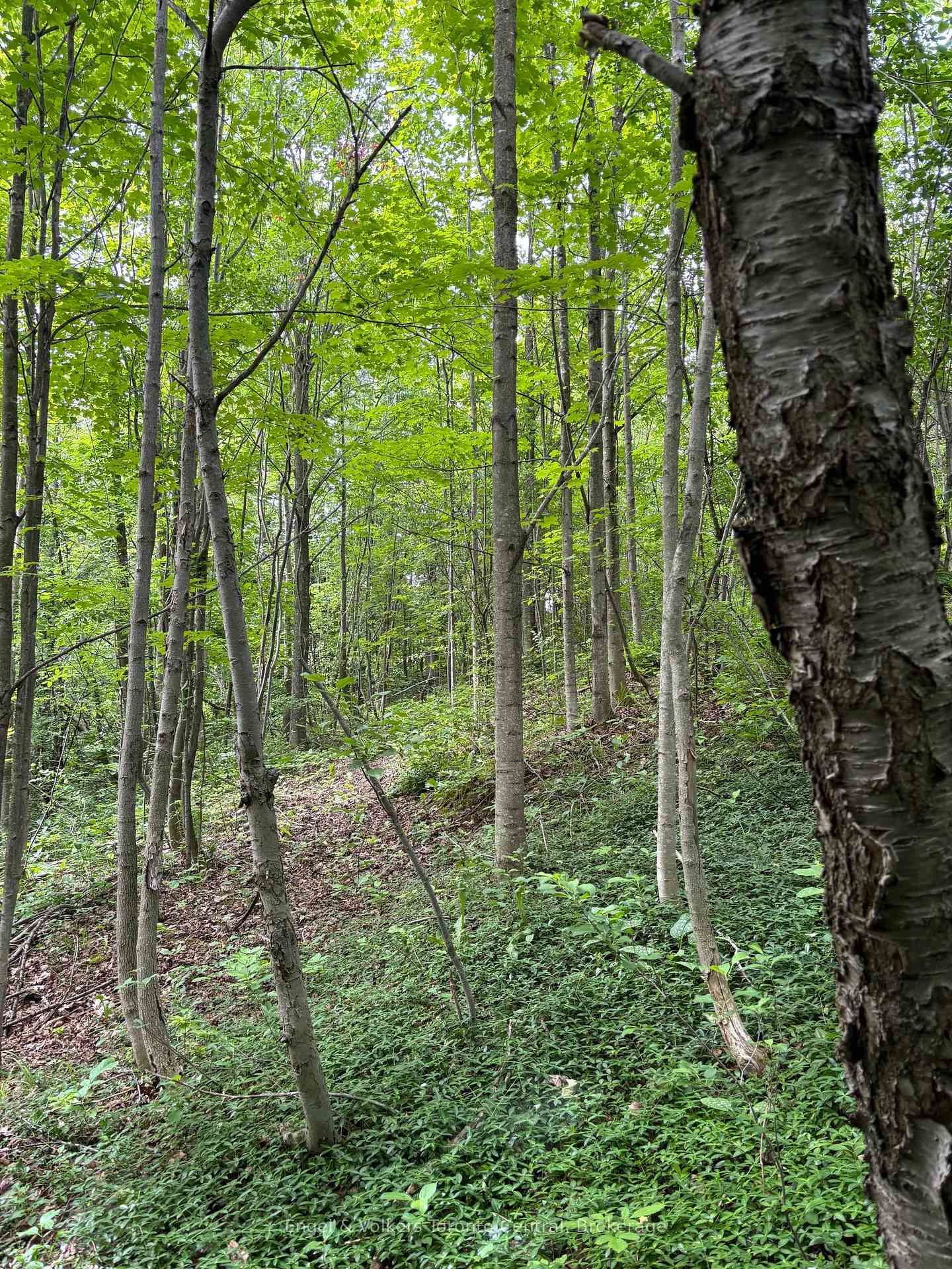 317343 3rd Line • Meaford, ON photo 26