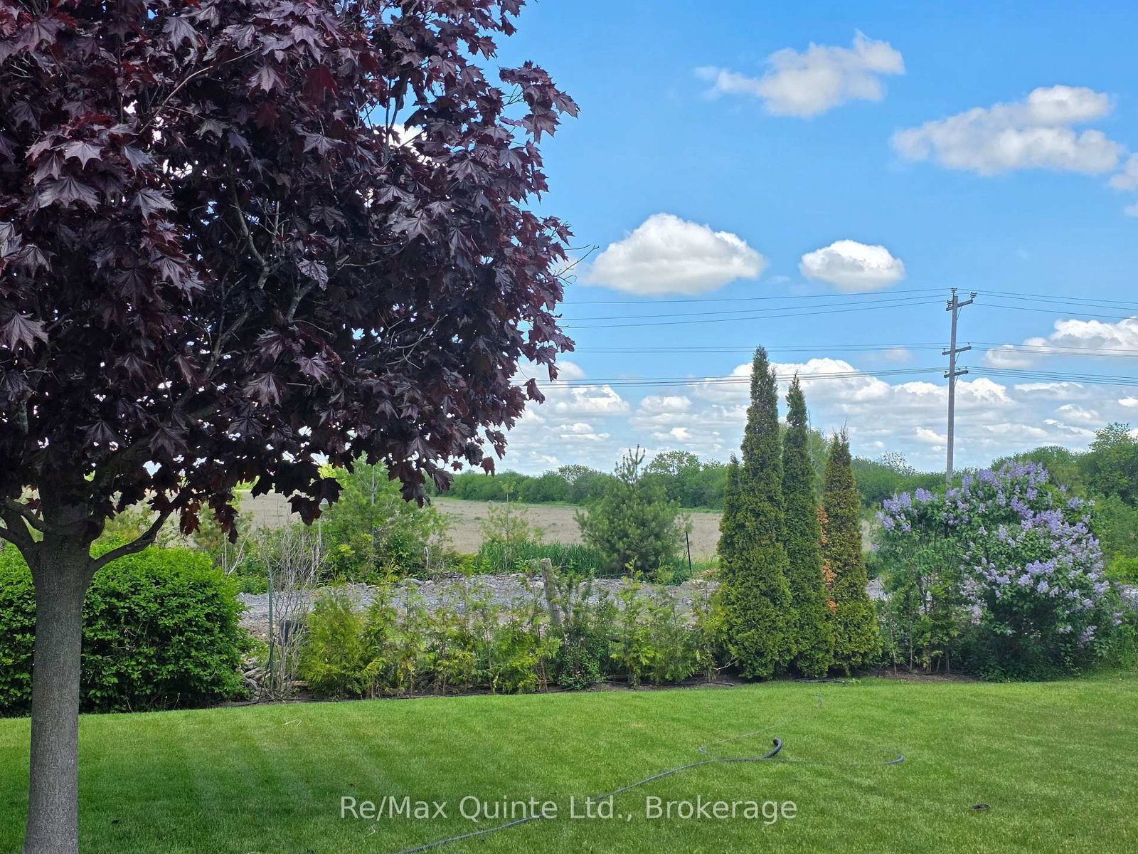 46 Lake Breeze Court • Prince Edward County, ON photo 36