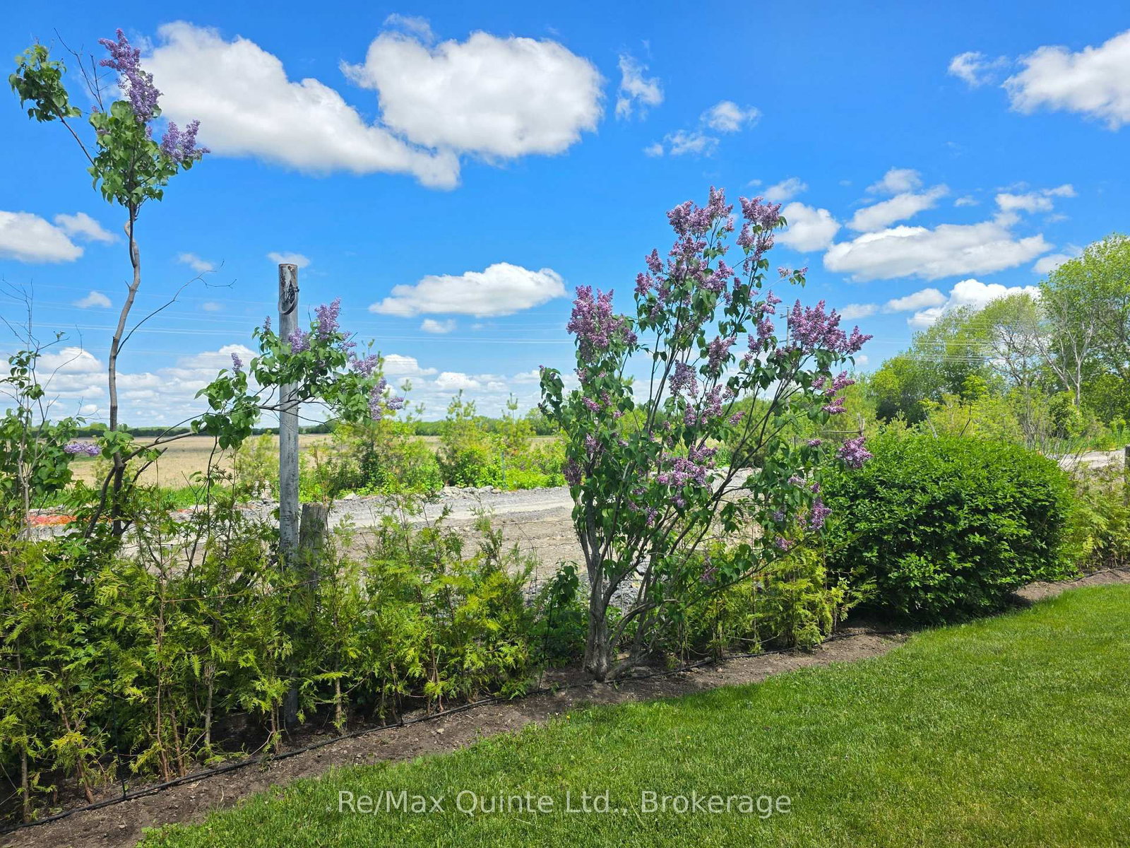 46 Lake Breeze Court • Prince Edward County, ON photo 38