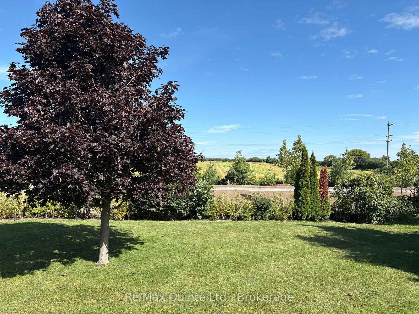 46 Lake Breeze Court • Prince Edward County, ON photo 39